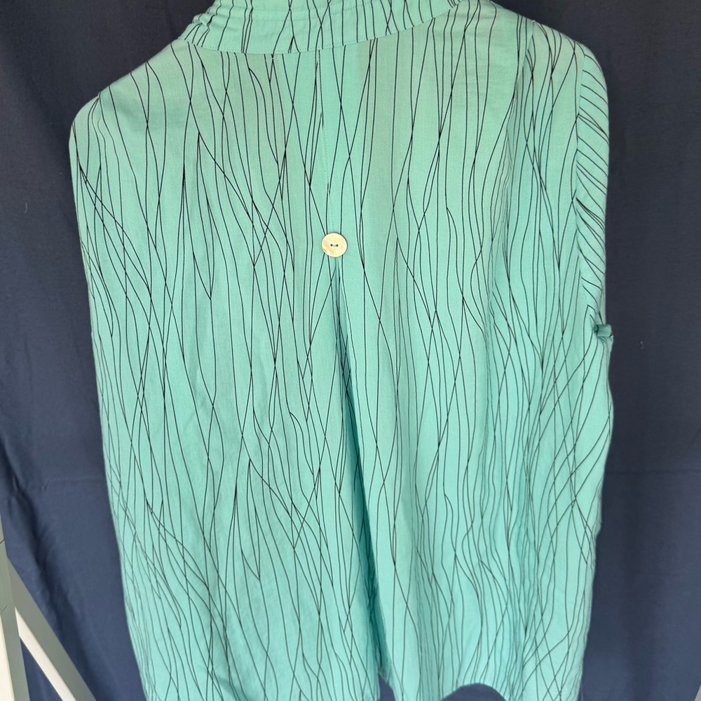 Ali Miles Aqua Button-Down Shirt with Dark Lines - Picture 8 of 8